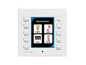 CRESTRON:CT-1000